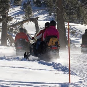 snowmobile snowmobile