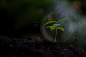 dark background eco image