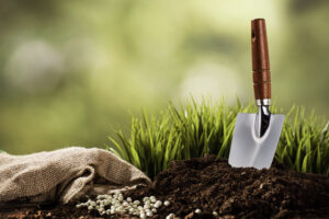 photo of a small shovel at a site